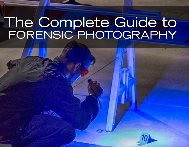 forensic_guide